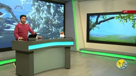 سماجی پروگرام ۔ زندگی سلام