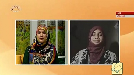 نسیم زندگی - سماجی پروگرام