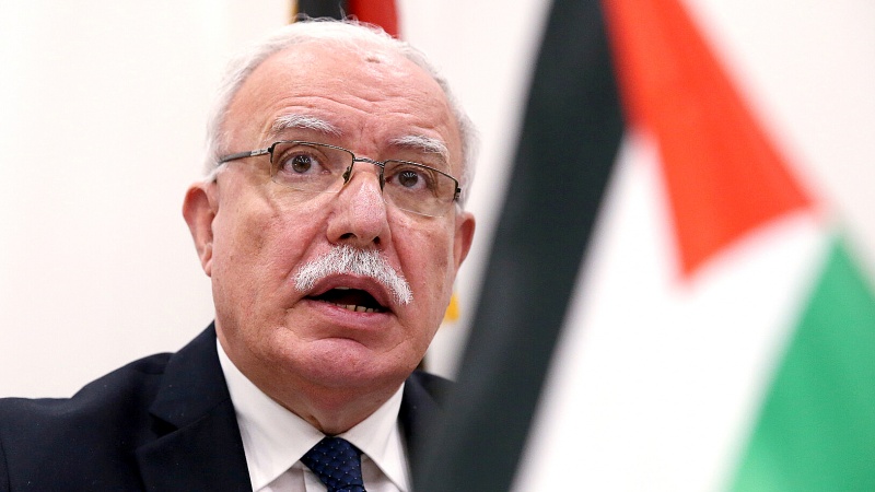 غاصب صیہونی حکومت ، غزہ کی خواتین اور بچوں سے انتقام لے رہی ہے: فلسطینی وزیر خارجہ 