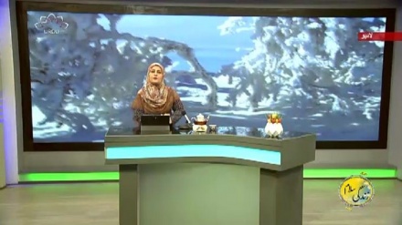 سماجی پروگرام ۔ زندگی سلام