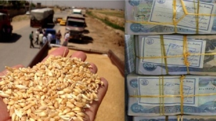 Meyade Necar: Hikûmeta Iraqê razî bû beşek ji diravê sê salan yê cotkarên Kurdistanê bide