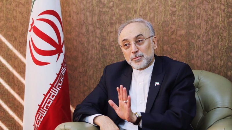 Salehi: Liderova fetva protiv nuklearne bombe određuje pravac djelovanja Irana