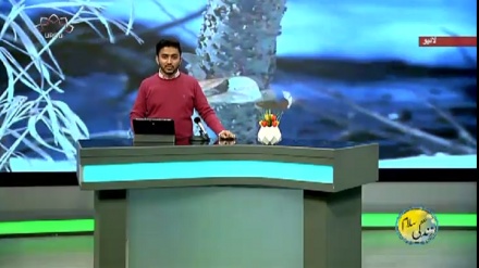 سماجی پروگرام ۔ زندگی سلام