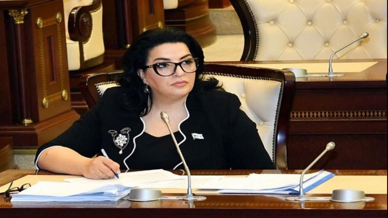 Azərbaycanlı deputat: 