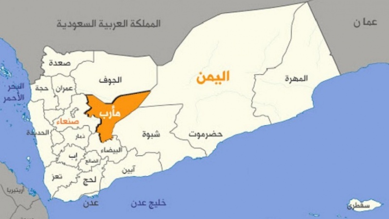 مآرب کی آزادی کے لئے یمن کے جوانوں کا عزم