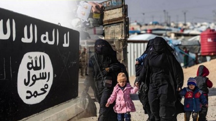 Amerîka: DAIŞ ji piştgirên xwe li Tirkiye û Iraqê 100 milyon dolar bidest dixe