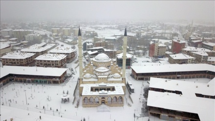 Berfê Erdîş bi xêliya sipî xemiland