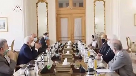 مارٹین گریفیکس کی ایرانی وزیر خارجہ سے ملاقات 