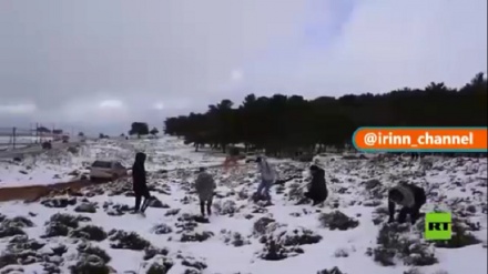 لیبیا، 15 سال بعد برفباری اور عوام میں خوشی+ ویڈیو