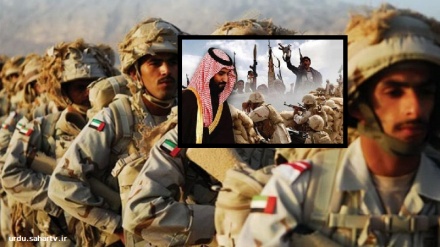 متحدہ عرب امارات  کے یمن پر حملے بند کرنے کی اطلاعات 