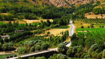 بەڵگەفیلمی نەورۆزنامە  - 21-03-2021