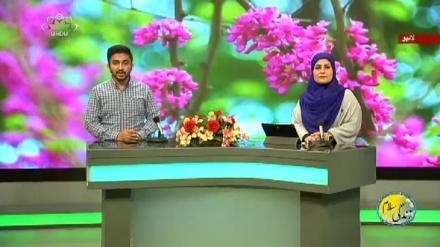 سماجی پروگرام ۔ زندگی سلام