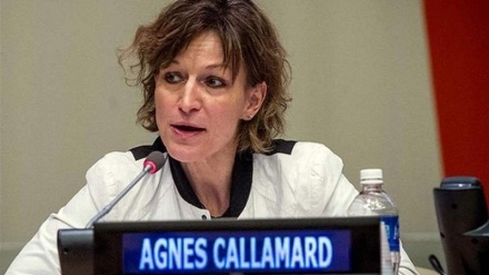 امریکہ کے دفاعی ردعمل پر اقوام متحدہ کی رپورٹر کی تنقید