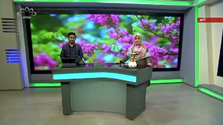 سماجی پروگرام ۔ زندگی سلام