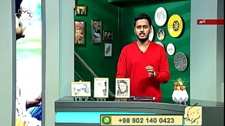 نسیم زندگی - سماجی پروگرام