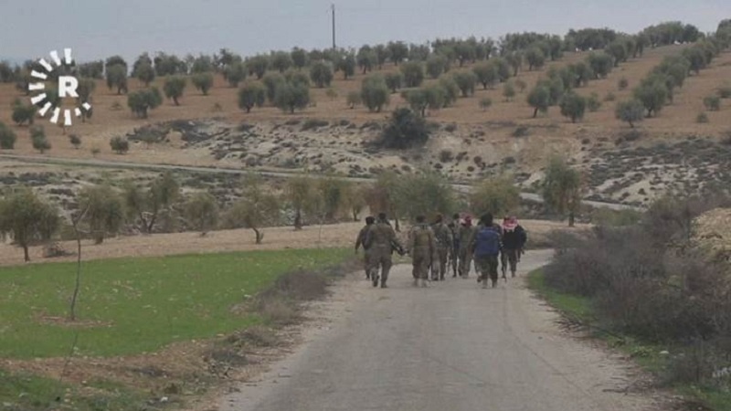 Li Efrînê grûpên çete dest danîn ser 60 zeviyên darên zeytûnan 