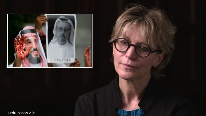 سعودی عرب کی اقوام متحدہ کی خصوصی رپورٹر کو جان سے مارنے کی دھمکی 