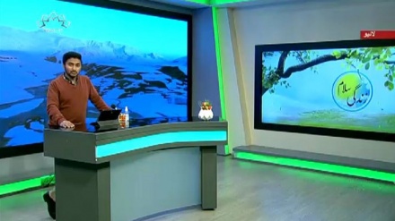 سماجی پروگرام ۔ زندگی سلام