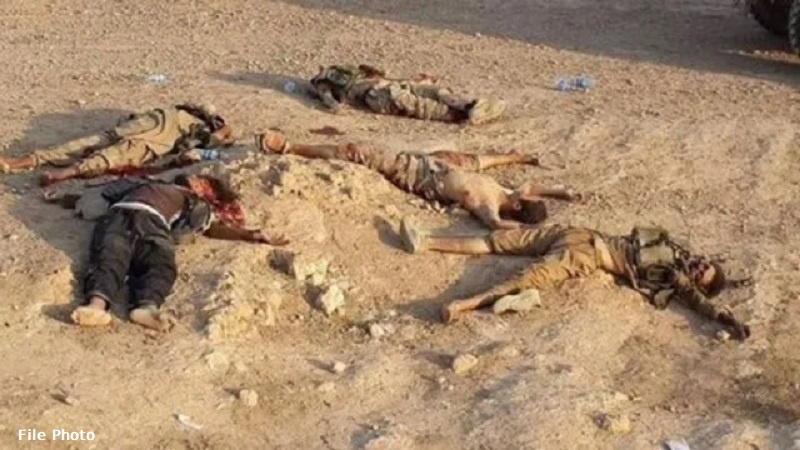 شمالی عراق میں داعش کے دسیوں دہشتگر ہلاک 