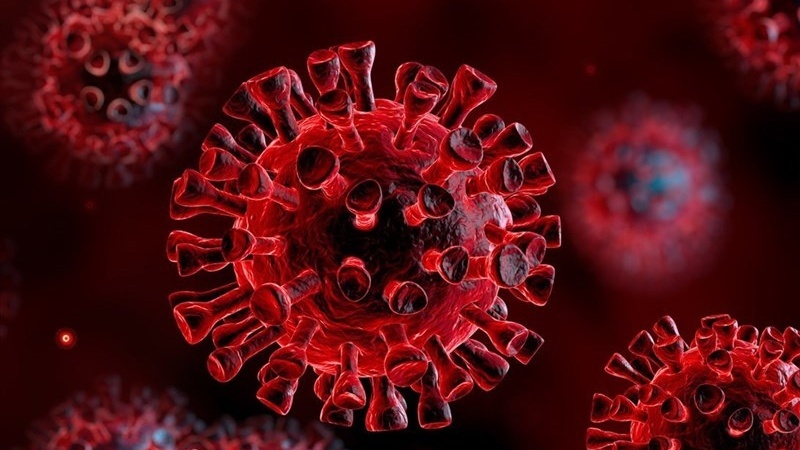 Daha 995 nəfərdə koronavirus aşkarlandı