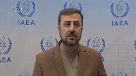 صیہونی حکومت کی ایٹمی دہشتگردی پر عالمی اداروں کی خاموشی پرتنقید