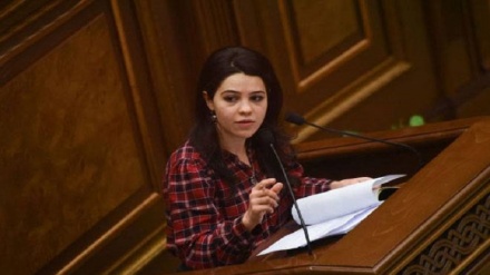 Erməni deputat Bakının sərhəd iddiasını rədd edib