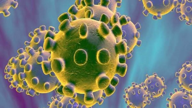 پاکستان میں کورونا وائرس کی 2 نئی اقسام کا انکشاف
