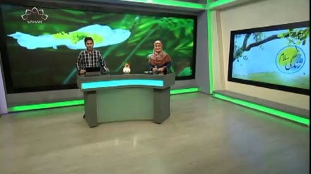 سماجی پروگرام ۔ زندگی سلام