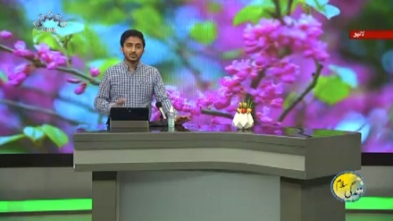 سماجی پروگرام ۔ زندگی سلام