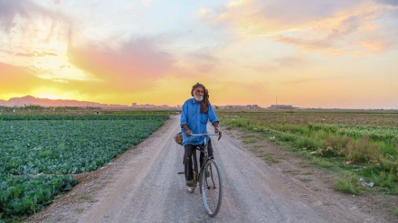 Rojîgirtin di temenê 80 saletiyê da