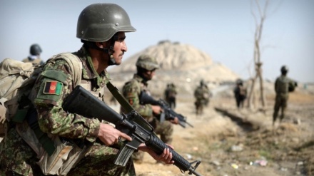 افغان فوج کے حملے، 65 طالبان ہلاک 30 سے زائد زخمی 