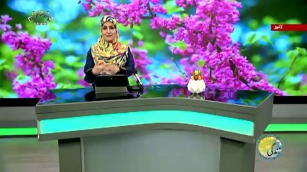 سماجی پروگرام ۔ زندگی سلام