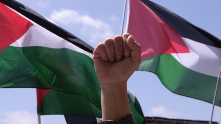 Stotine muzičara potpisalo pismo u kojem se poziva na bojkot Izraela