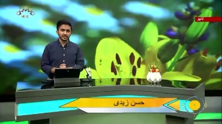 سماجی پروگرام ۔ زندگی سلام