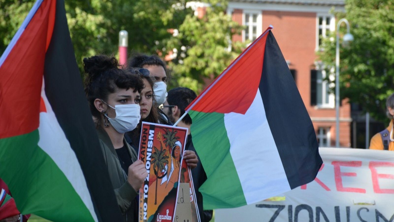 U nekoliko nizozemskih gradova održani skupovi podrške Palestini