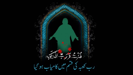 مولا علی (ع) کا شوق شہادت سید علی کی زبانی 