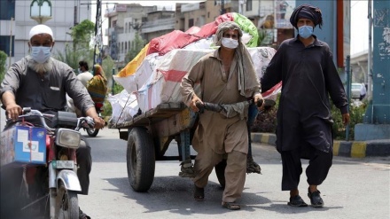 پاکستان میں کورونا کی موجودہ صورت حال