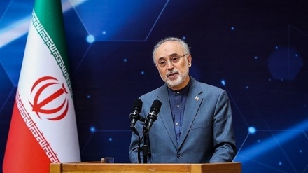 ہمیں تمام پرامن جوہری ٹیکنالوجیاں حاصل کرنا ہوں گی: ایران
