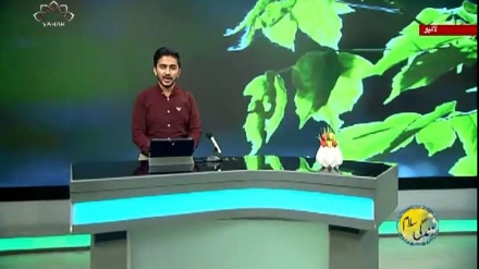 سماجی پروگرام ۔ زندگی سلام