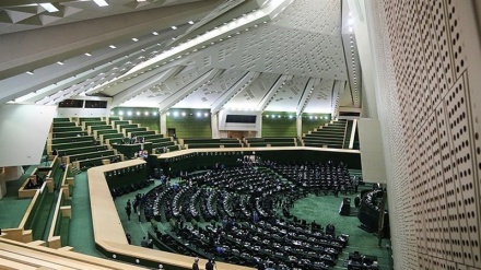 ایران کے ممبران پارلیمنٹ کی جانب سے فلسطین کی تحریک استقامت کی حمایت کا اعلان