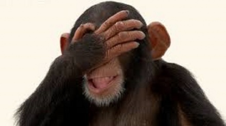 شیطان بندر+ ویڈیو