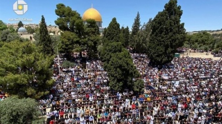   استقامتی گروہوں کی فتح کے دن مسجد الاقصی میں نماز جمعہ کے دوران دسیوں ہزار فلسطینیوں کا اجتماع 