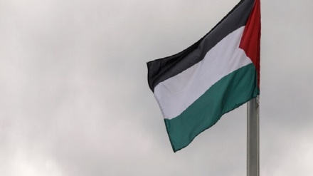 صیہونیوں کے سروں کے اوپر فلسطینی پرچم لہرا دیا گیا۔ ویڈیو