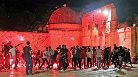 386 palestinezë plagosen në ofensivën sioniste në Bregun Perëndimor