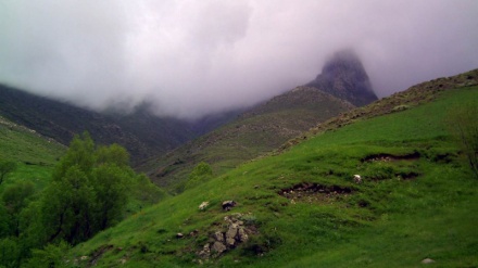 Bakirə Horand zonasında səyahət