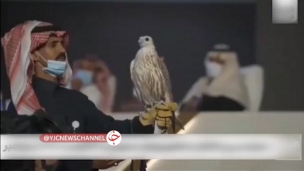 سعودی امیروں کے عجیب و غریب چوچلے+ ویڈیو