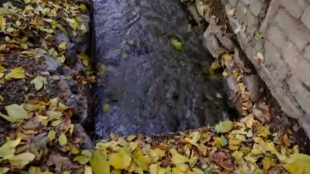 بەشێک لە بەڵگە فیلمی ئێران