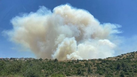 مقبوضہ فلسطین میں بھیانک آگ 