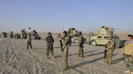 افغان فورسز کے حملے میں 50 طالبان عناصر ہلاک