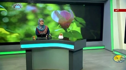 سماجی پروگرام ۔ زندگی سلام